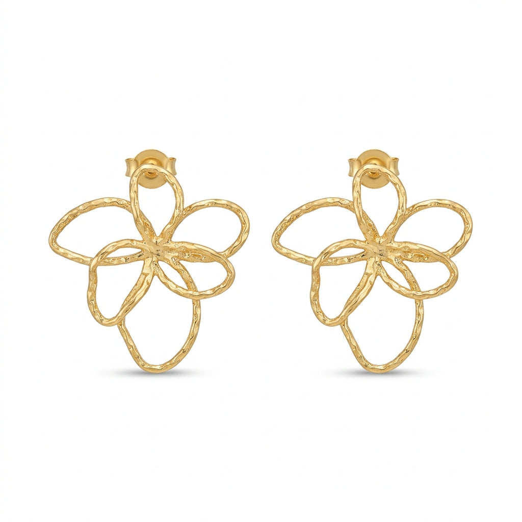 Aretes contorno
