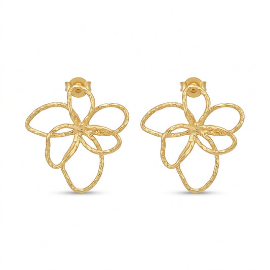 Aretes contorno