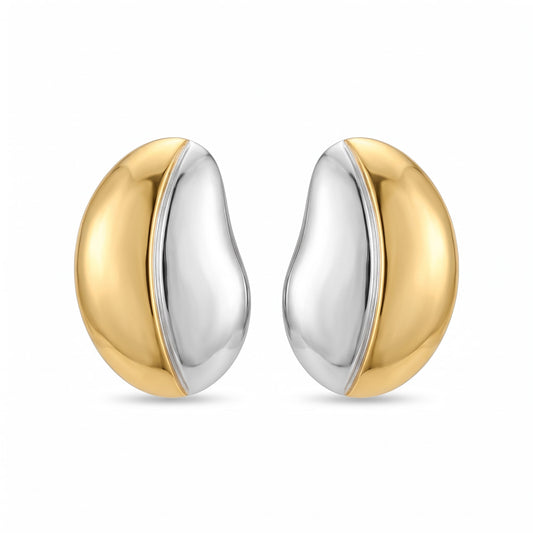Aretes bicolor